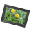 Smart Cloud Photo Frame With Auto-Rotate And Wireless Sharing Via App IPS HD Touch Screen High Resolution Display For Effortless Memory Sharing 7