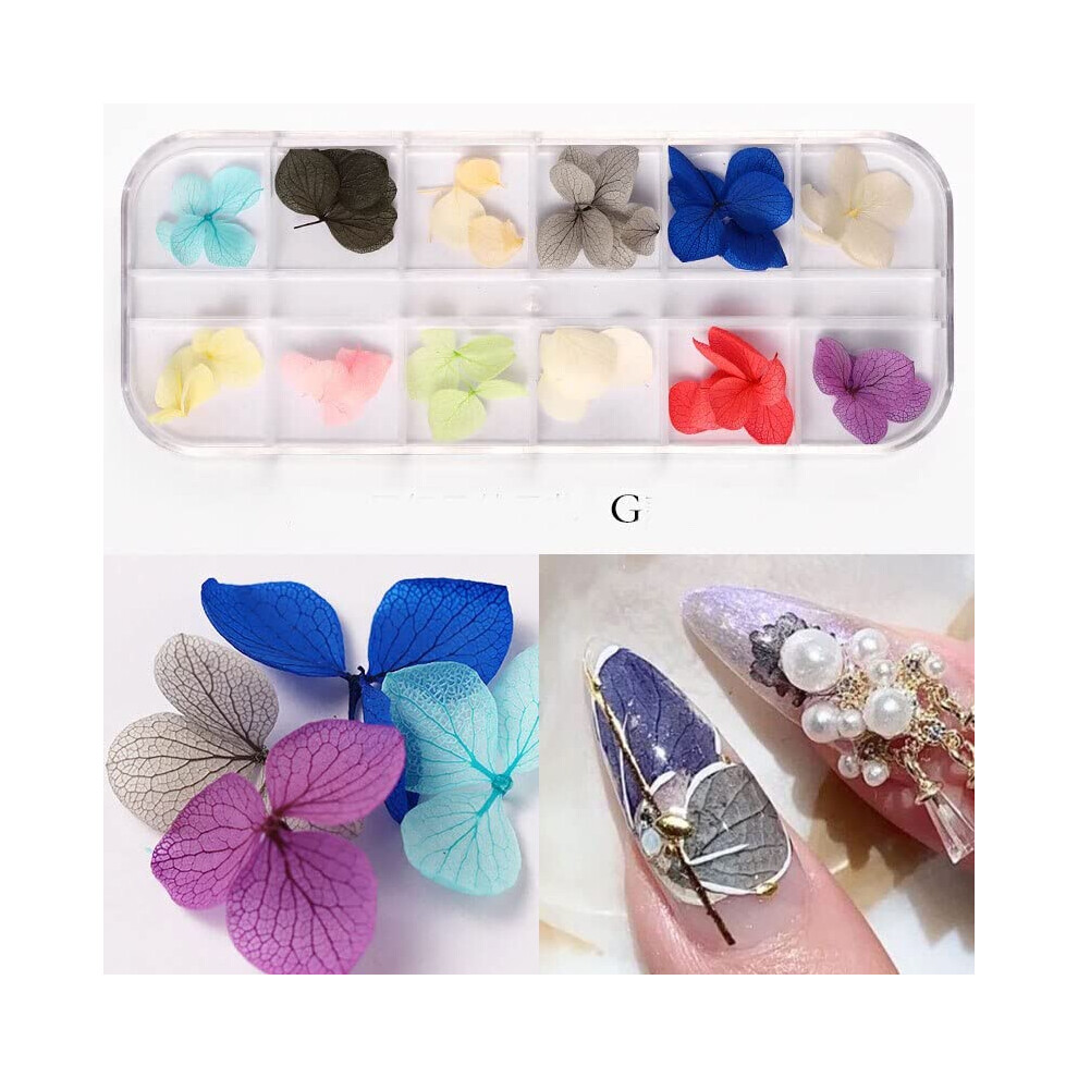 Dried Flower Nail Art Tips 3D Floral Designs Natural Sunflower Daisy Decorations for Manicure