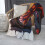 Blaincéad Lomra Spider-Man - Blaincéad Caithimh Thar a Bhog, Gnéithe Leapa do Pháistí - Thar a Bhog 60"X50" 7