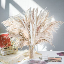 Boeket van 100 stuks natuurlijk pampasgras | Boho gedroogd bloemstuk, tafeldecoratie, bruiloftsdecoratie, rustieke decoratie