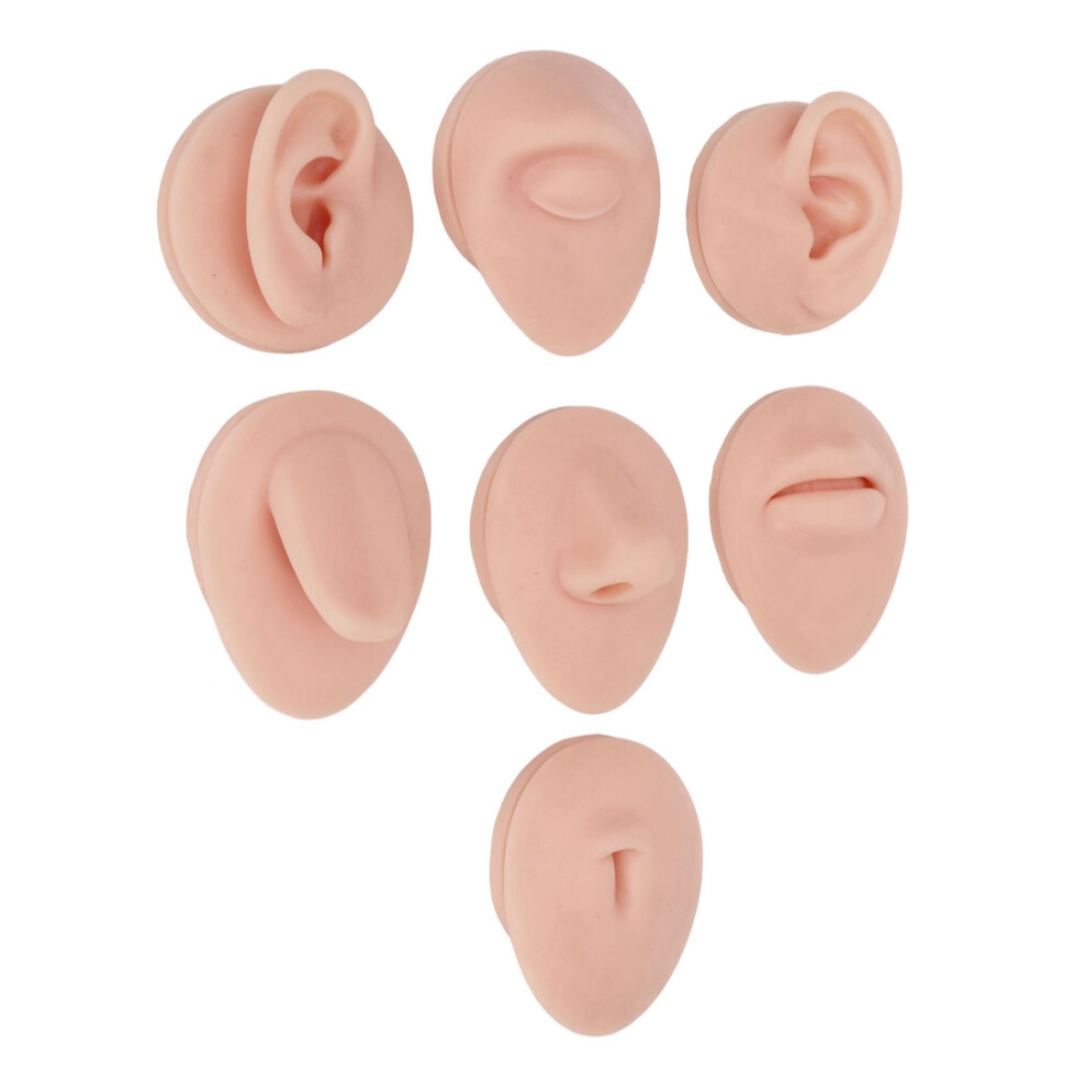 Piercing Practice Model with Realistic 3D Silicone Skin and Acrylic Display Stand, Medium Tone