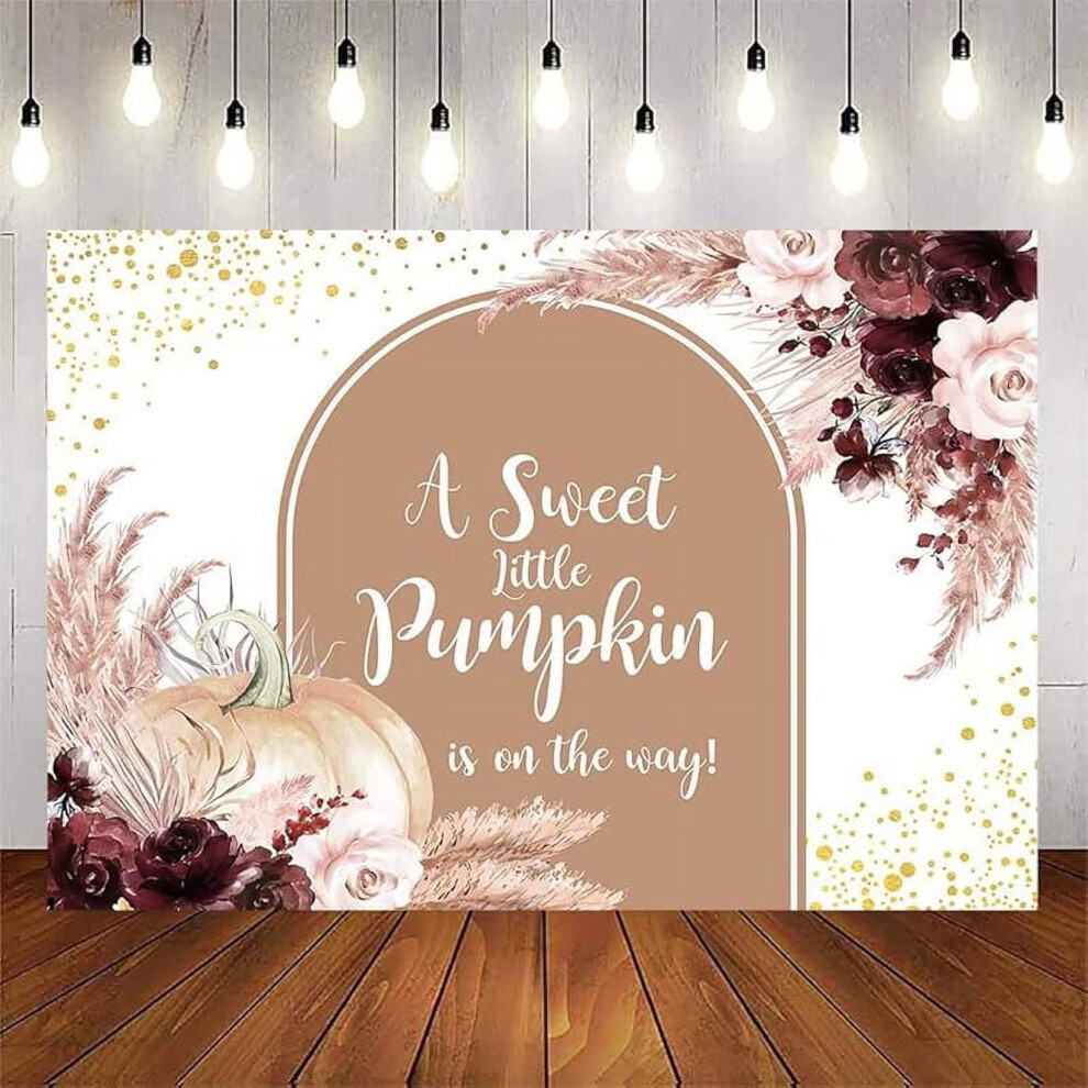 Fall Pumpkin Baby Shower Backdrop Girl Boho Floral Pumpkin Baby Shower Party Decorations Banner Little Pumpkin Is On The Way Photoshoot Background 9164030733299