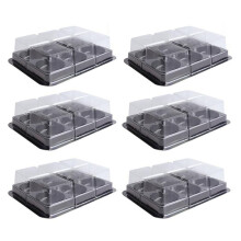 ckepdyeh100 Stück 6-teiliges Kunststoff-Mondkuchentablett, transparent, für Muffins, Cupcakes, Mochi, Kekse, Lebensmittelverpackung