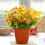 ZOELNIC1Bouquet28Heads Τεχνητά Λουλούδια Χονδρικής Ψεύτικες Ζέρμπερες Μαργαρίτα Μεταξωτά 4