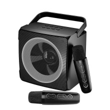 Family KTV Audio Set Dual Wireless Microphone One Outdoor Portable Karaoke Bluetooth Speaker,Black
