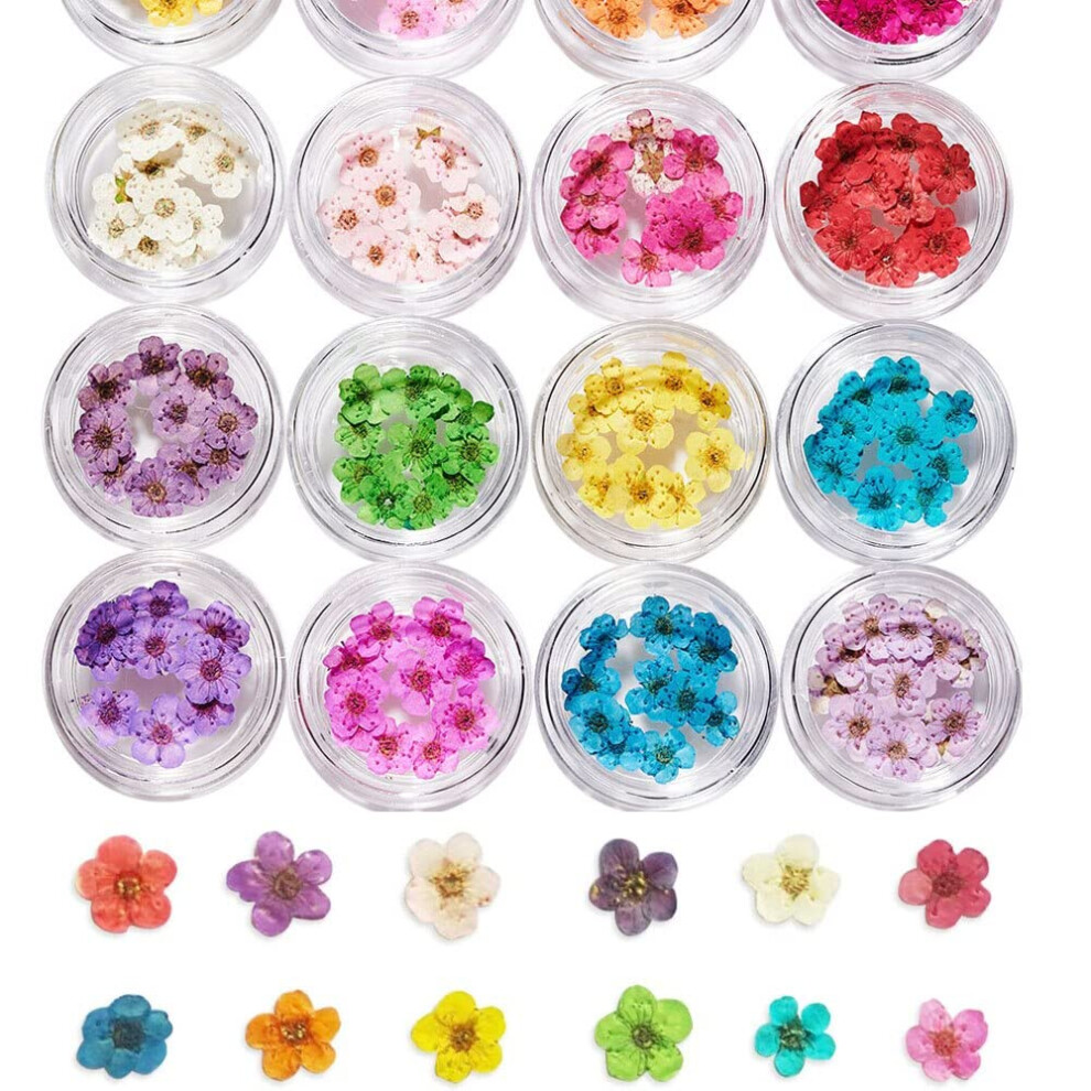 Press On Nails with Real Dried Flowers Wheel for DIY Nail Art Decoration and Full Coverage Tips