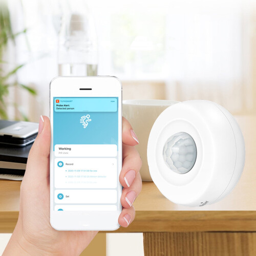 Εκπτώσεις! Αισθητήρας κίνησης PIR WiFi με γκράφιτι για έξυπνες συσκευές, συμβατός με