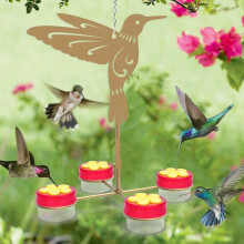 Vonkajšia záhrada, nádvorie, hadica na kŕmenie kolibríkov, závesná kvetinová kŕmidlo pre kolibríky