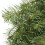 Guirlanda de Natal artificial de 24/48/60 polegadas, pinheiro verde para decoração de casa 5