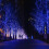 Χριστουγεννιάτικα φωτάκια Sinhoon65FT200LED σε κορδόνι, κουμπωτά φωτάκια νεράιδας για 3