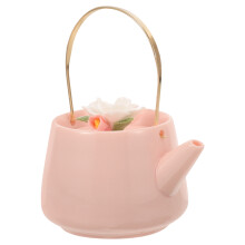 Keramisk tekanne, kaffetraktere, vintage vannkoker, liten for komfyrtopp, bærbar keramikk, frøken