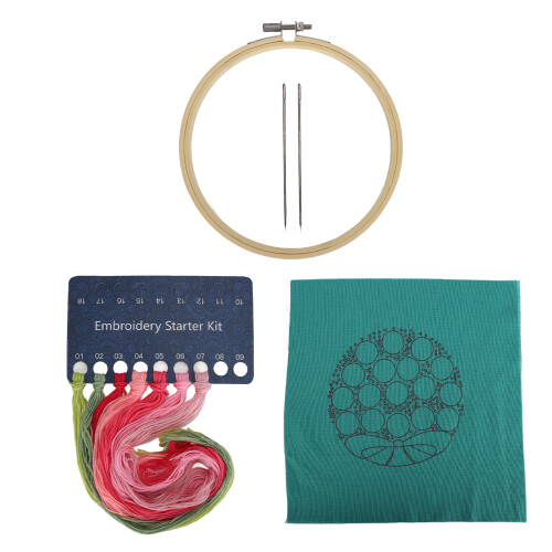 Handmade Needlepoint Kits for Beginners, Embroidery Starter Kit with Embroidery Hoops Printed Patterns Color Threads, Step by Step Instructions for 1