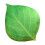Μαξιλάρι SDJMa Fall Leaf, διακοσμητικό μαξιλάρι 3D Green Leaf 13,7"x16,9", συμβατό με φθινοπωρινή 2
