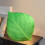 Μαξιλάρι SDJMa Fall Leaf, διακοσμητικό μαξιλάρι 3D Green Leaf 13,7"x16,9", συμβατό με φθινοπωρινή 6