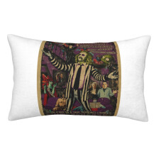 Povlaky na polštáře Beetlejuice, super měkké a útulné nadýchané povlaky na polštáře se zipem, 20x30 palců, ložnice, pohovka, gauč,