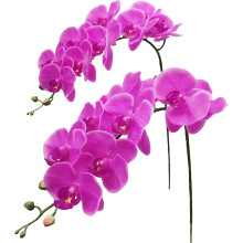2 stuks kunstmatige orchideestengels en -bloemen met realistische textuur, neppe Phalaenopsis-takken, 8 grote bloemen, 74 cm