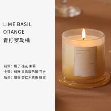 [Fangdi] Adornos de velas de aromaterapia con forma de huesos de adamantio, portavelas de aromaterapia, fragancia de cera de soja, regalo de vela de