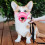 Dog Muzzle Anti Biting, with Comfortable Mesh Soft Fabric and Adjustable Strap, Suitable for Small, Medium Dogs 8
