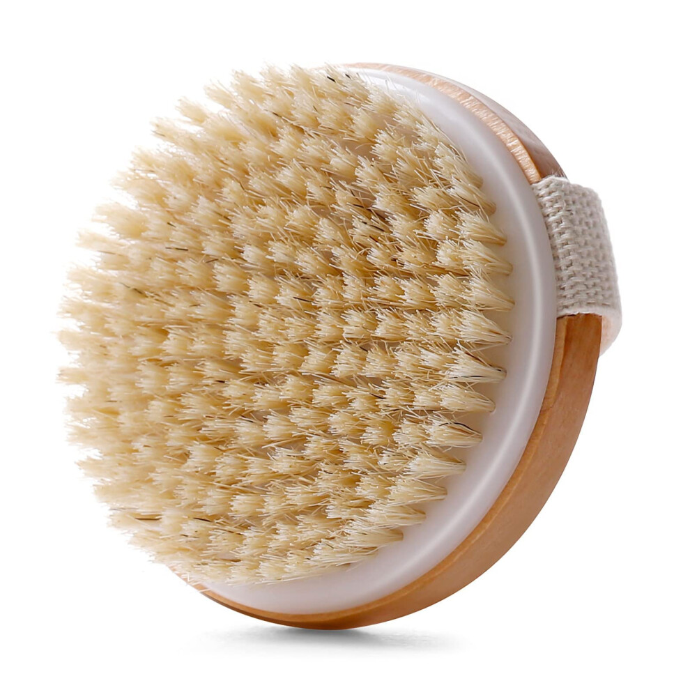 Body Scrub Brush for Shower Exfoliation with Natural Wooden Bristles and Strap, Dry Brushing Tool