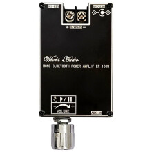 Module amplificateur audio mono BT True Wireless -1001B100W