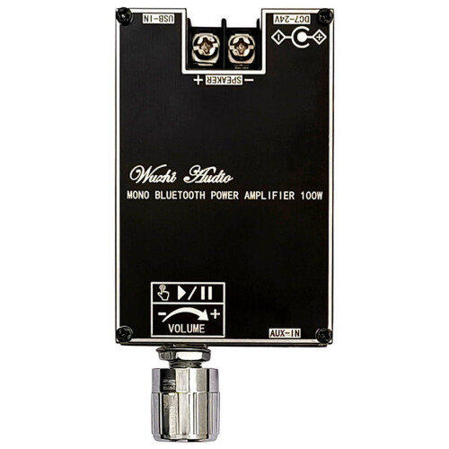 Module amplificateur audio mono BT True Wireless -1001B100W