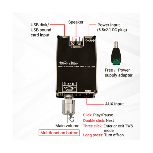 Module amplificateur audio mono BT True Wireless -1001B100W 1