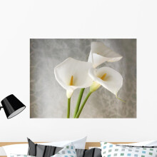 White Calla Lilies Wall Mural Peel and Stick Floral Graphic (36 in W x 27 in H) WM214680