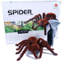 Radio Controlled Spider - Toy