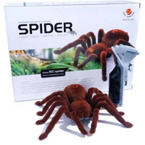 Radio Controlled Spider - Toy