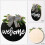Έκπτωση! Poaug Picture Hooks Clearance, Πιάτο καλωσορίσματος πόρτας διακοσμητικό πιάτο 5
