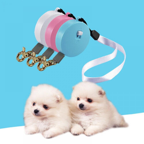 Automatic Telescopic Leash Small Dog Leash Handheld Mini Dog Leash-Square And Round shape for Small/Medium Dogs