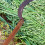 Mango de repuesto para cuchara de estiércol, mango de madera, mango largo para cucharón. 4