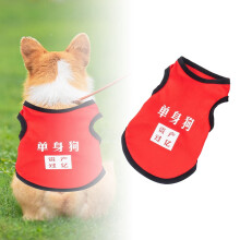 A solução fashion: Vista seu pet com perfeição com nossas roupas! Itens essenciais para animais de estimação