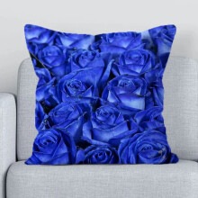 Cásanna Pillow Cadáis Línéadaigh Faisean Baile Maisiú Seomra Leapa Rós Gorm Patrún Enchantress Cás Pillow Maisiúil Tolg