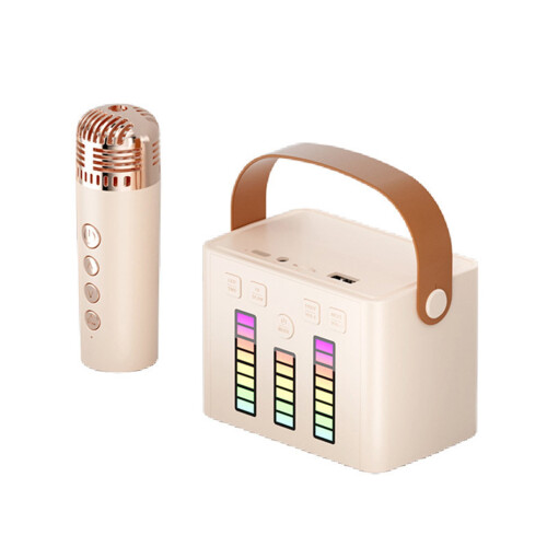 RnemiTe-amo Portable Karaoke Machine, Wireless Bluetooth Speaker with Microphone, LED Light, Outdoor Use 1
