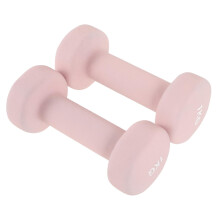 2 Pack Cast Iron Dumbbells Pink Vinyl Coated NonSlip Weights for Women Home Strength Training