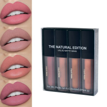 Waterproof Lipstick Set Matte Effect Long Lasting Non Stick Cup Liquid Lip Gloss Handcrafted Wreaths Inspired Makeup Kit Exquisite Dyeing Process