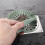 Filtre anti-obstruction pour évier et sol de salle de bain/cuisine, gris 4