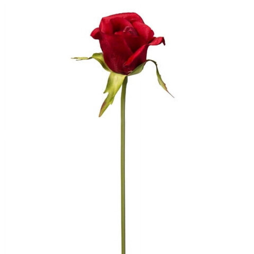 Täglicher roter Rosenpflückbaum, 24 cm