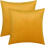 Cterwk Pacote com 2 Capas de Almofada Decorativas de Veludo Macio, Quadradas, para Sala de Estar, Quarto e Escritório, 40x40cm (16x16 polegadas) 1