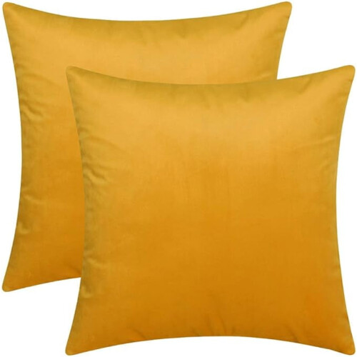 Cterwk Pacote com 2 Capas de Almofada Decorativas de Veludo Macio, Quadradas, para Sala de Estar, Quarto e Escritório, 40x40cm (16x16 polegadas)