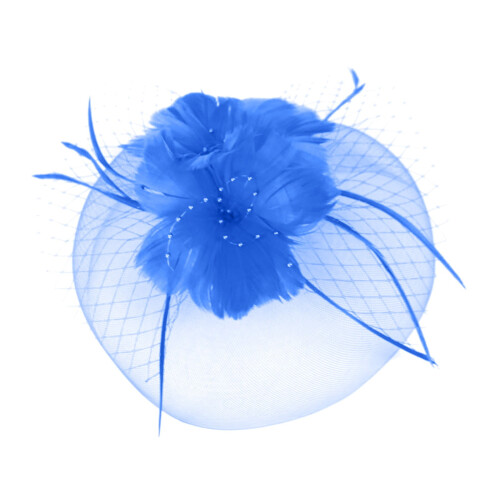 Καπέλα Miayilima για γυναίκες Fascinators Γυναικείο καπέλο με λουλούδια και φτερά για τσάι, 2