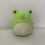 Λούτρινο παιχνίδι με μαξιλάρι Squishmallow 20cm GREEN CHICK GREEN CHICK Z 7