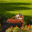 Briarwood Lane Happy Fall Pickup Metall-Gartendeko 2