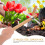 Χειροκίνητη τσάπα από ανοξείδωτο ατσάλι Eease για γεωργία και κηπουρική 4