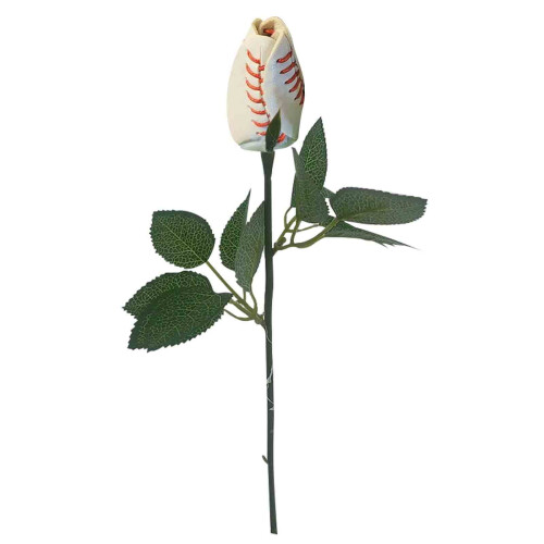 YiFudd Muttertagsgeschenk – Sportleder Rose 1