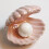 Κεραμικό φωτιστικό Welling Shell Pearl για διακόσμηση υπνοδωματίου για το σπίτι, 8