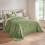 BrylaneHome Georgia Chenille Shams 2