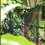 Small Flower Screen Tower Trellis Stand 63x46.5cm, 6 Pack 9