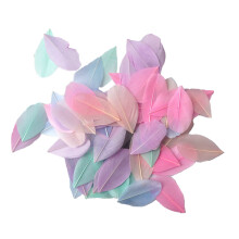 Cruelty-Free Feathers For Diy Craft Projects, Manually Selected From Goose Feathers, Professionally Cleaned And Steam Sterilized, Lightweight And Soft